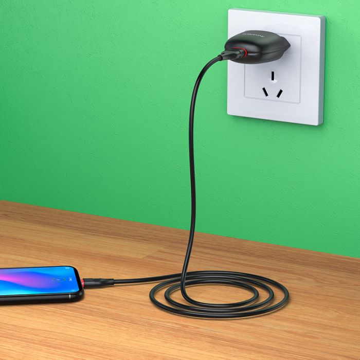 Мережевий зарядний пристрій BOROFONE BA49A Vast Power (Lightning)